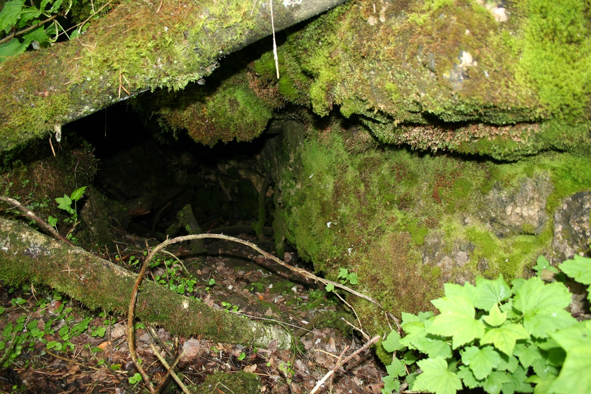 Верховья Базаихи, вход в пещеру Каменная Роза.