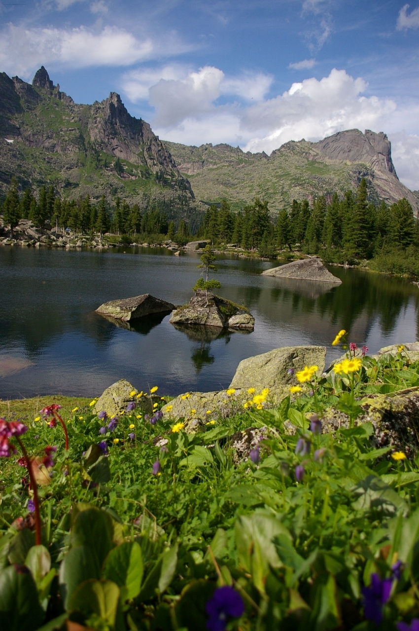 Ергаки цветы Красноярский край